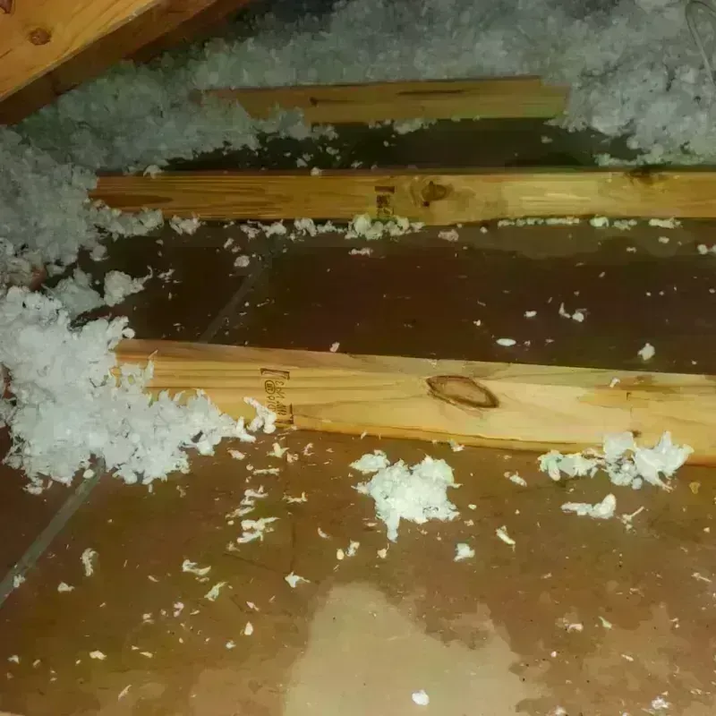 Attic Water Damage in Milford, IA