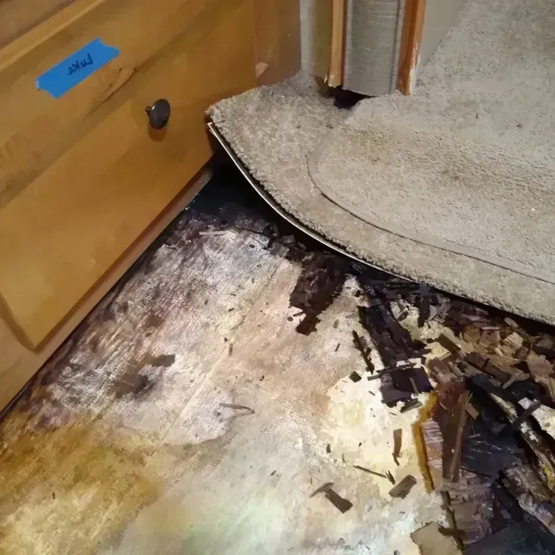 Best Wood Floor Water Damage Service in Milford, IA